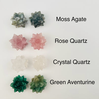 crystal succulents next to their crystal name