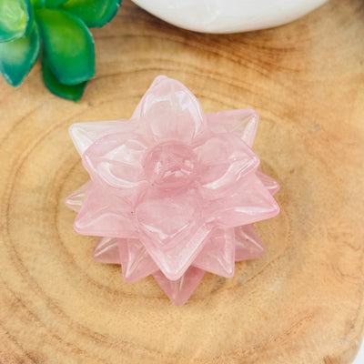 crystal succulent available in rose quartz displayed as home decor