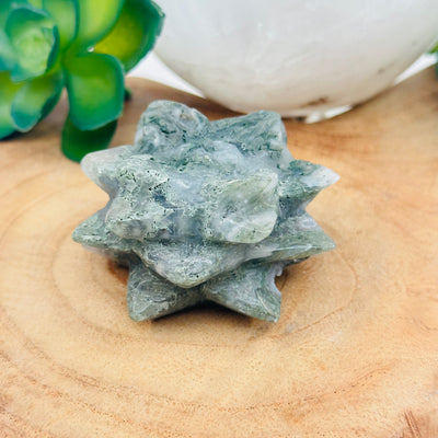  crystal succulent available in moss agate displayed as home decor