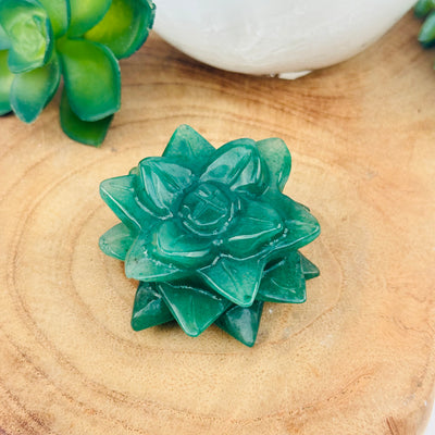 crystal succulent available in green aventurine displayed as home decor