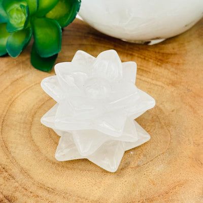 crystal succulent available in crystal quartz displayed as home decor