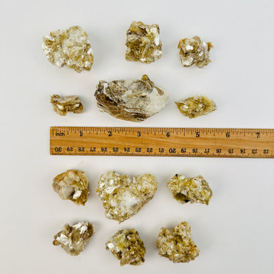 star mica crystals next to a ruler for size reference 