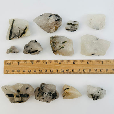 crystal clusters displayed next to a ruler for size reference 