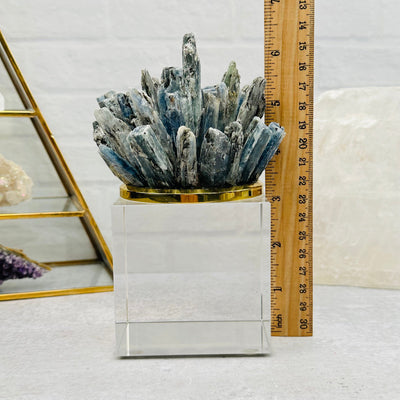 Blue Kyanite Pinecone on Glass Base next to a ruler for size reference 