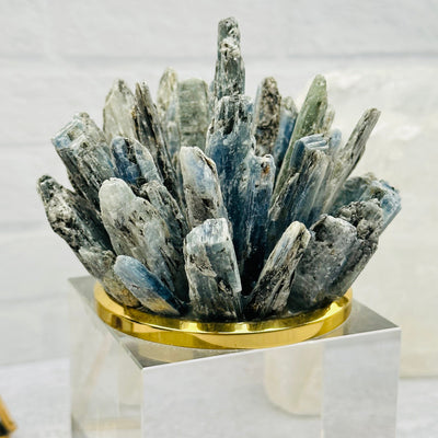 close up of the blue kyanite blades on the top of the glass base 
