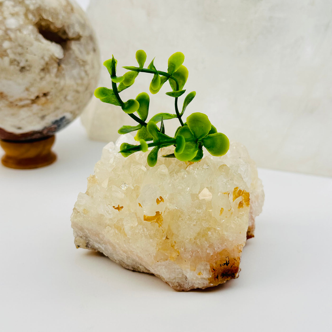 citrine cluster with plant