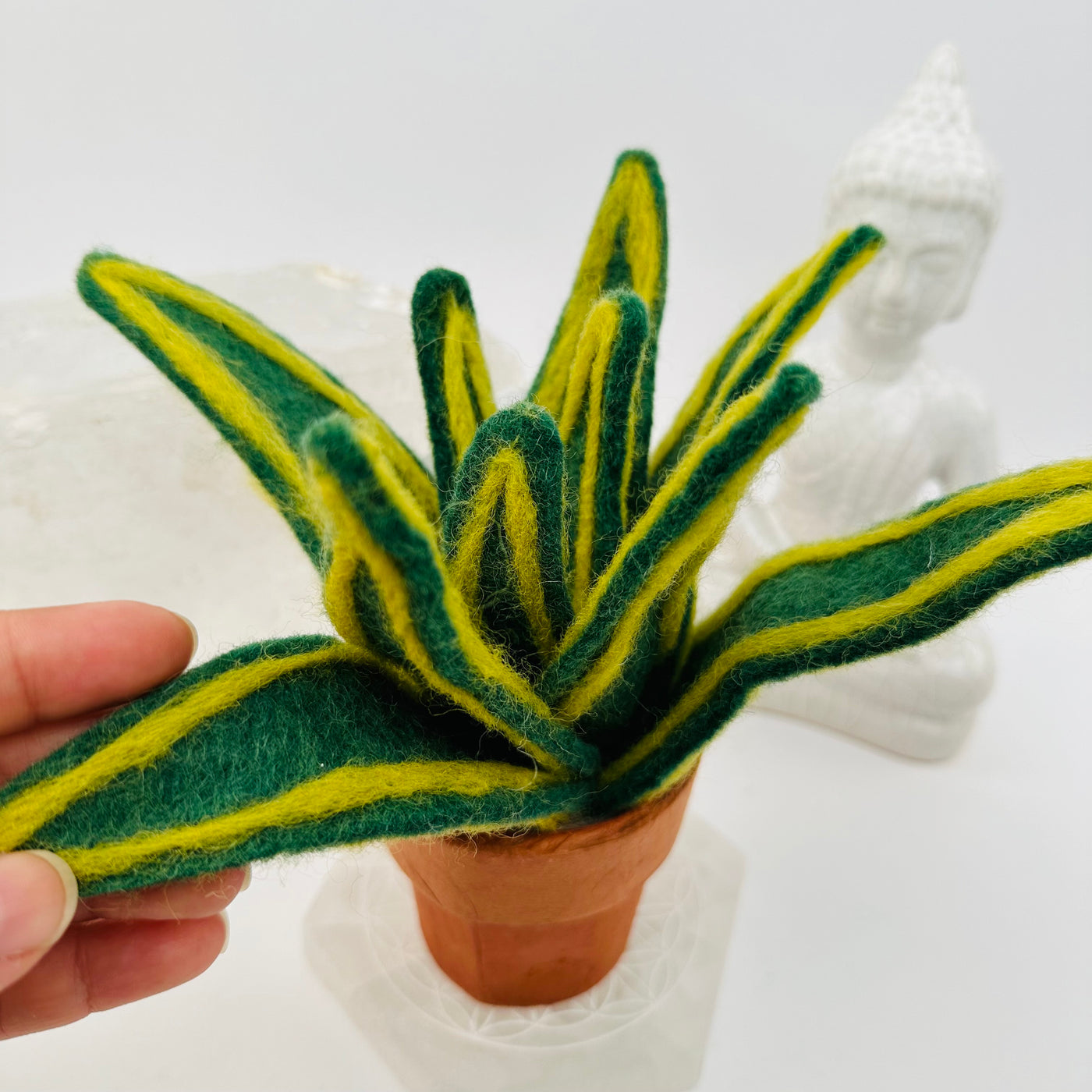 close up of the details on this felt plant