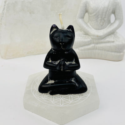 cat candle displayed as home decor