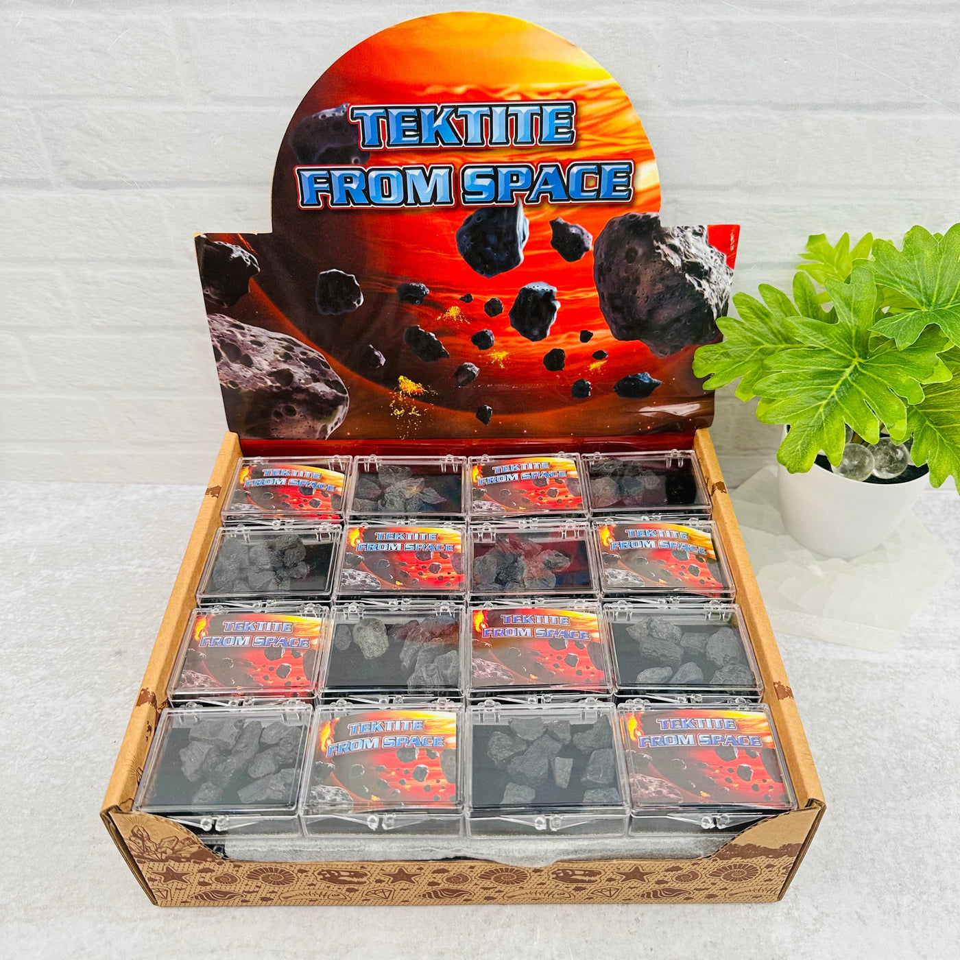 Tektite Collection in Specimen Box - from Outer Space! - Point of Purchase Display