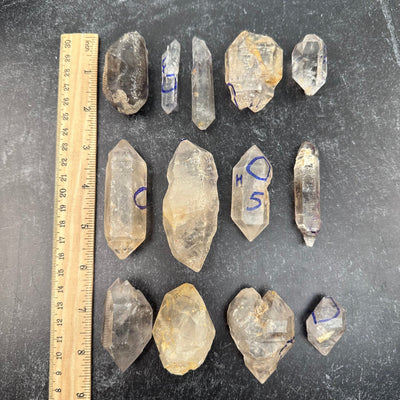 multiple crystals displayed next to a ruler for size reference 