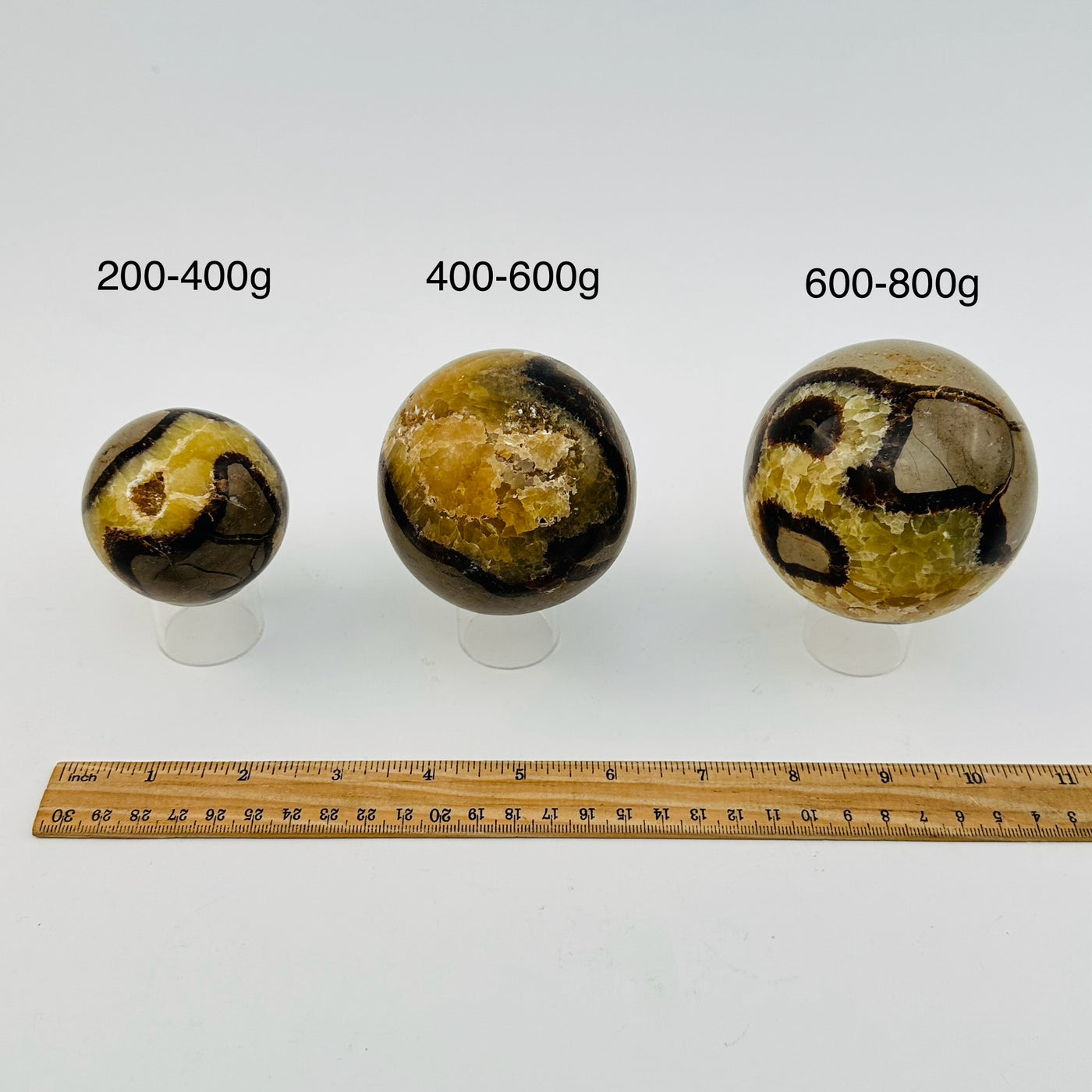 septarian spheres sold by weight. next to a ruler for size reference 