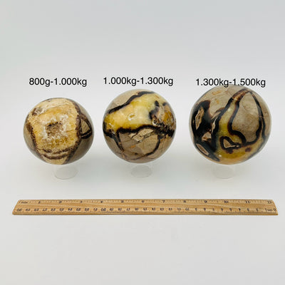 septarian spheres sold by weight. next to a ruler for size reference 