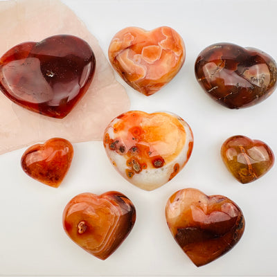 multiple carnelian hearts displayed to show the differences in the sizes and color shades 
