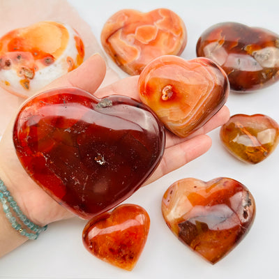 multiple carnelian hearts displayed to show the differences in the sizes and color shades 
