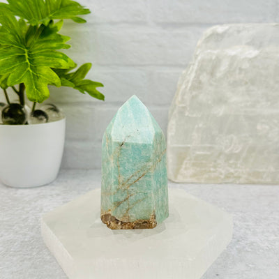 Amazonite Crystal Polished Tower Obelisk Point displayed as home decor 