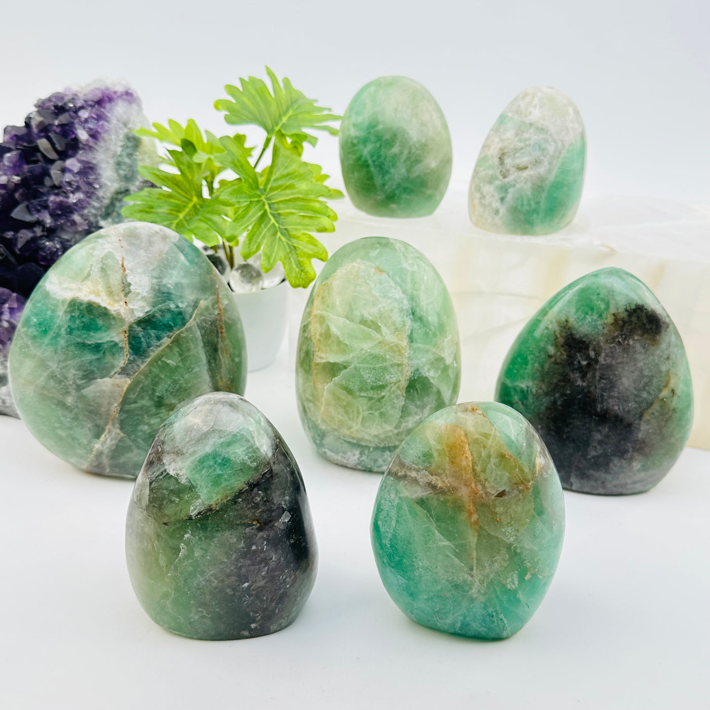 multiple fluorite cut base crystals displayed to show the differences in the sizes and color shades 