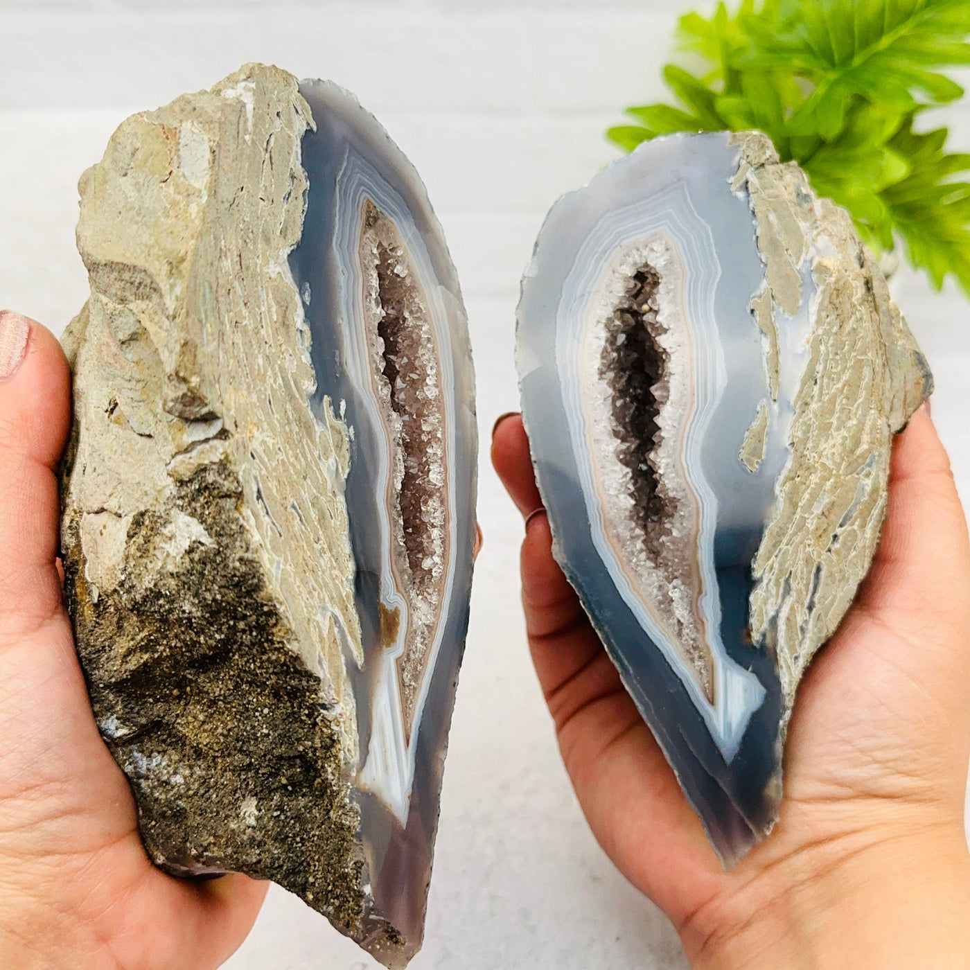 geode is cut in half to show the druzy crystal center 