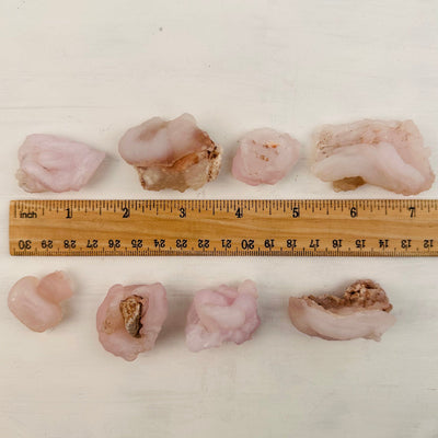 Chalcedony Rosettes - Pink Chalcedony next to a ruler for size reference 