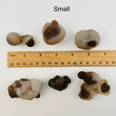 Botryoidal Chalcedony - Rough and Natural Chalcedony - By Size - small pieces next to a ruler for size reference 