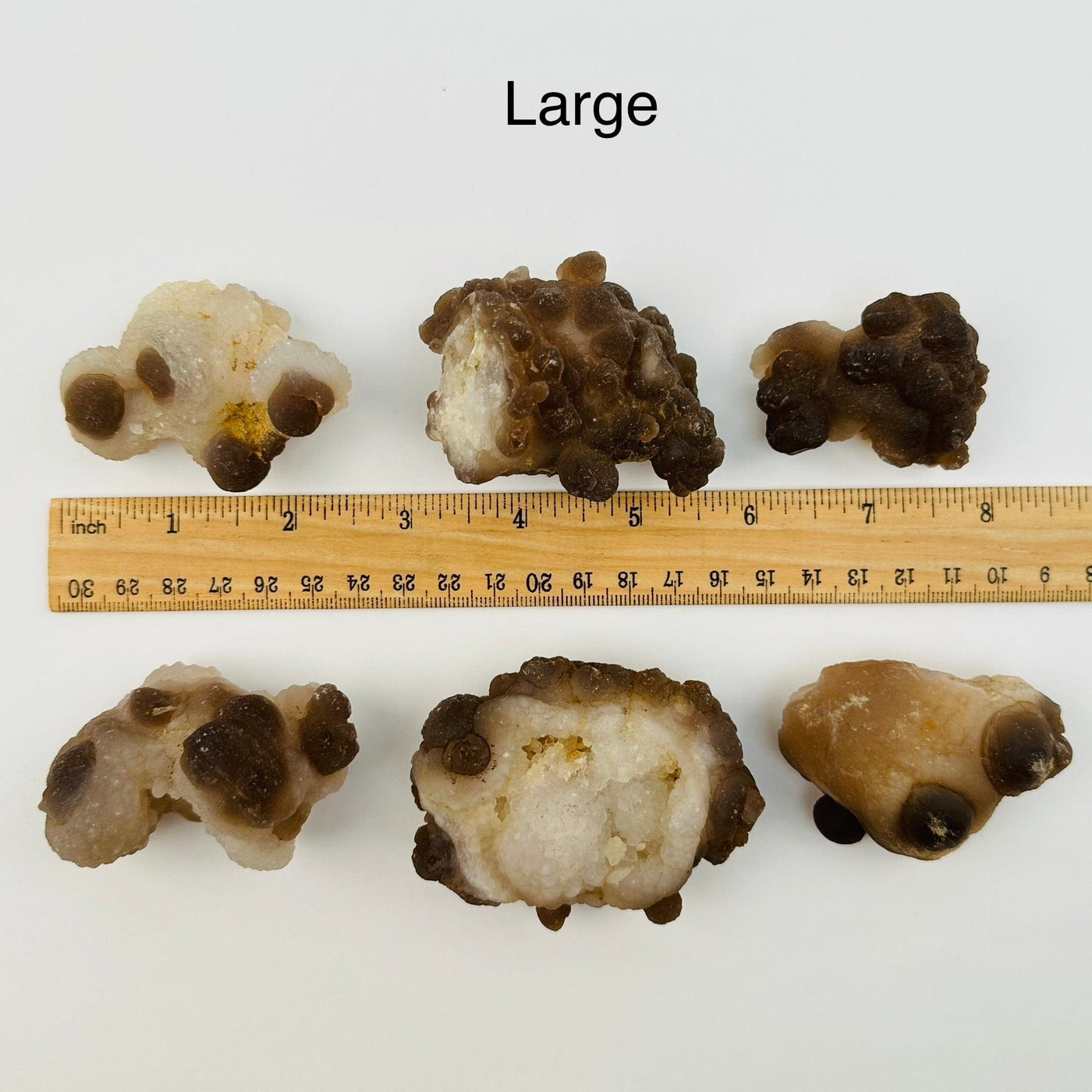 Botryoidal Chalcedony - Rough and Natural Chalcedony - By Size - large pieces next to a ruler for size reference 