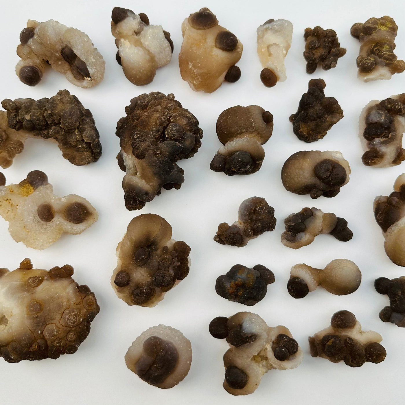 multiple Botryoidal Chalcedony clusters displayed to show the differences in the sizes and color shades 