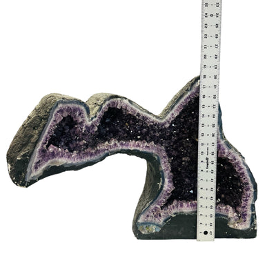 left side of the amethyst geode displayed next to a ruler for size reference 