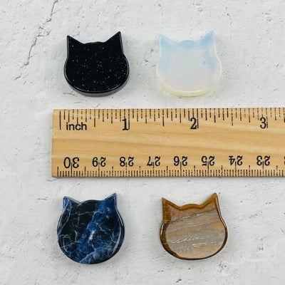cat cabochons next to a ruler for size reference 