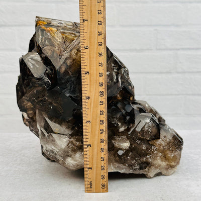 Elestial Alligator Smokey Quartz Crystal - Collectors Piece next to a ruler for size reference 