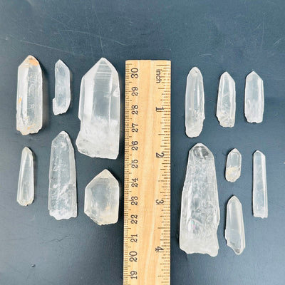 lemurian crystal points displayed next to a ruler for size reference 