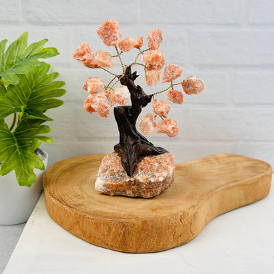 Gemstone Crystal Trees with Crystal Stone Base displayed as home decor