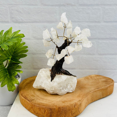 Gemstone Crystal Trees with Crystal Stone Base displayed as home decor 