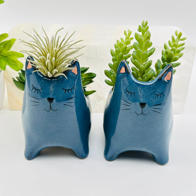 ceramic cat plant holder displayed as home decor 