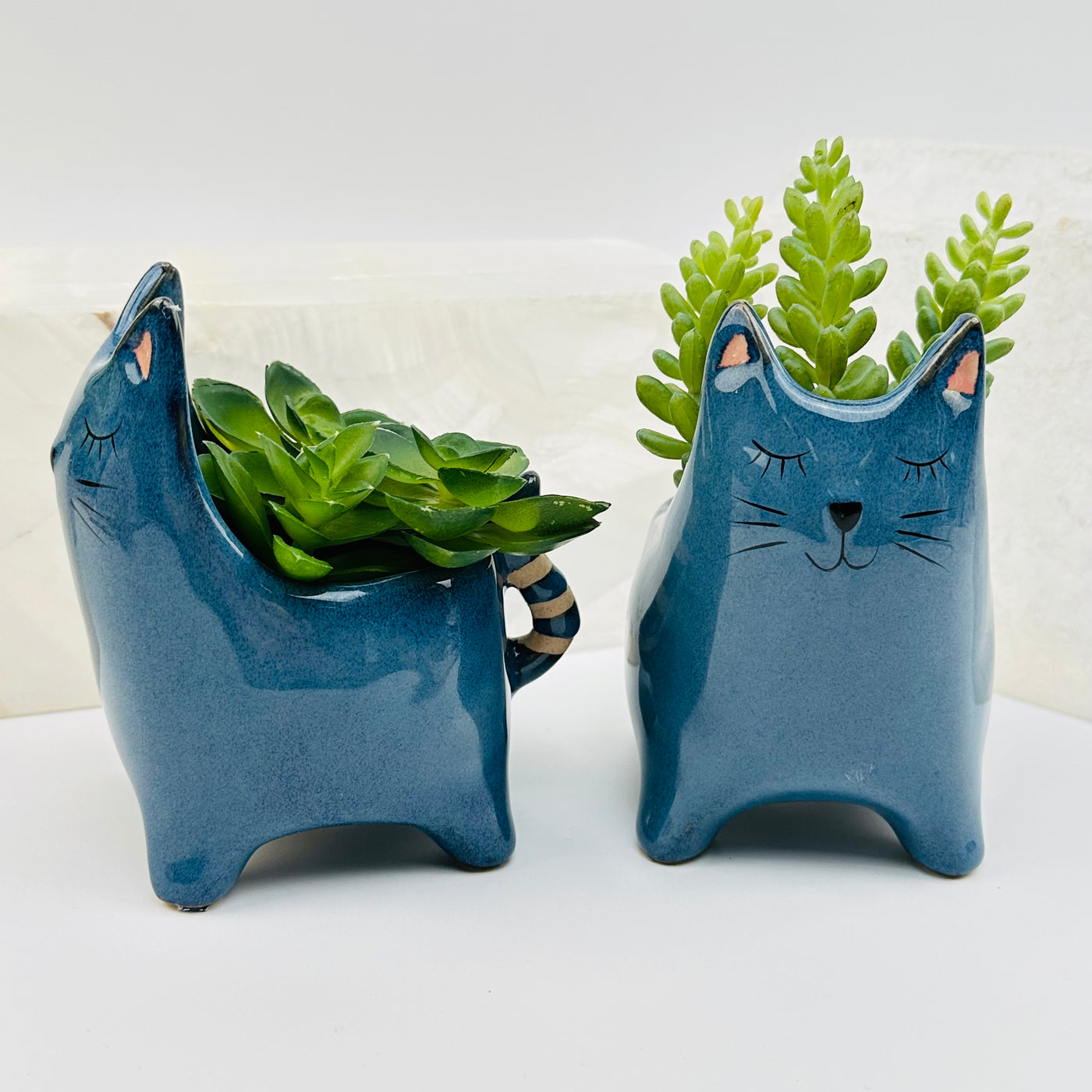 front and side view of ceramic cat 