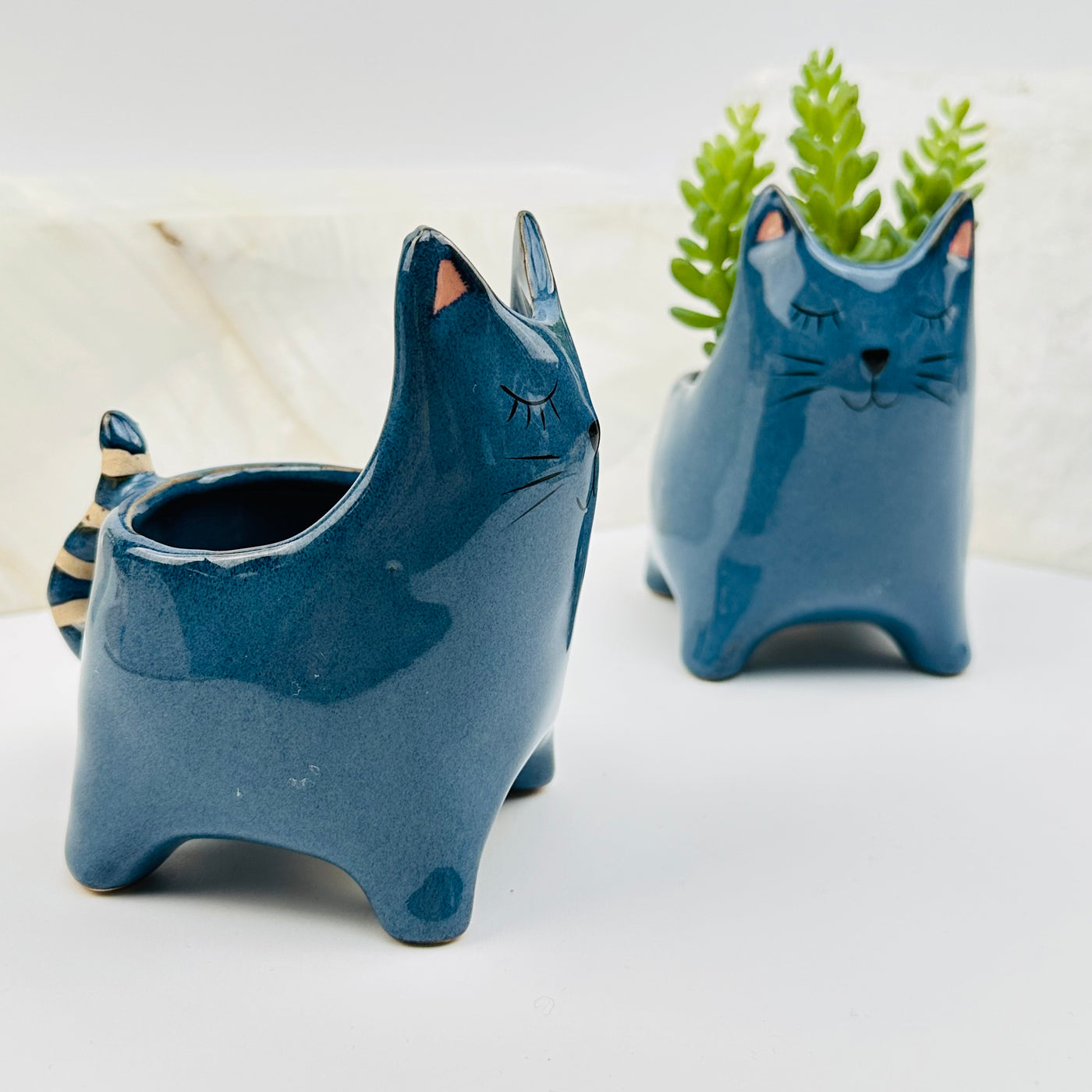 ceramic cat plant holder displayed as home decor