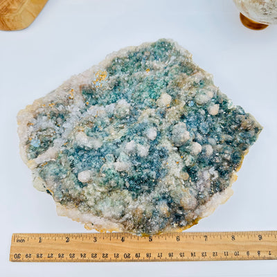 amethyst flower cluster next to a ruler for size reference 