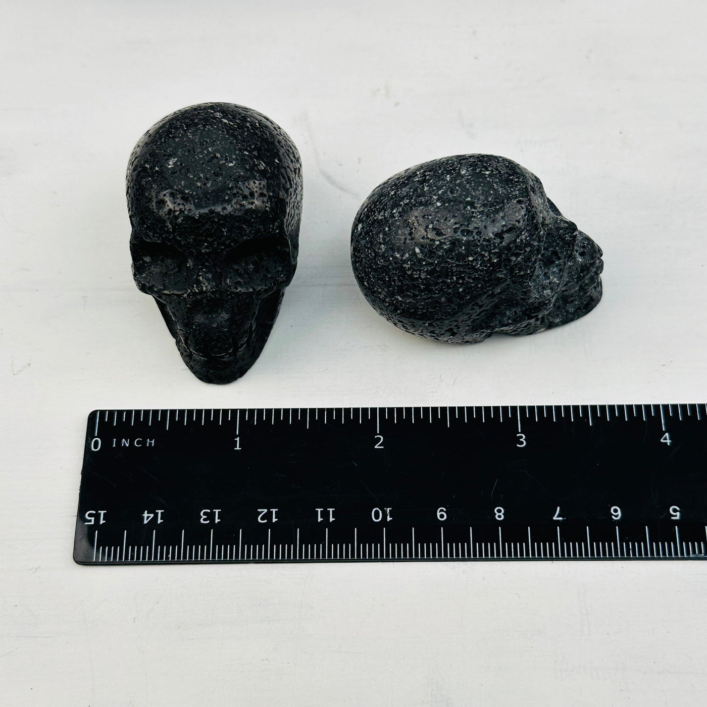 Volcanic Skull Heads next to a ruler for size reference 