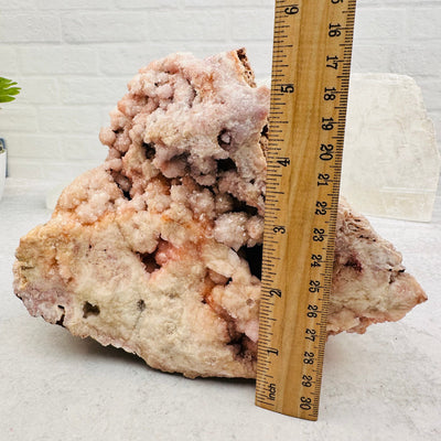 Pink Amethyst Freeform next to a ruler for size reference 