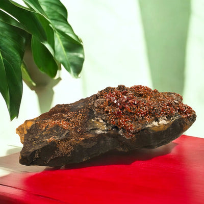 Vanadinite - Large Vanadinite Crystal Cluster on Matrix - High Grade on red table with plants in the background front view