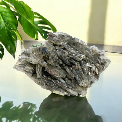 Arsenopyrite on Quartz - High Grade Crystal Specimen from Morocco #1 on glass table with monstera and yellow wall in the background