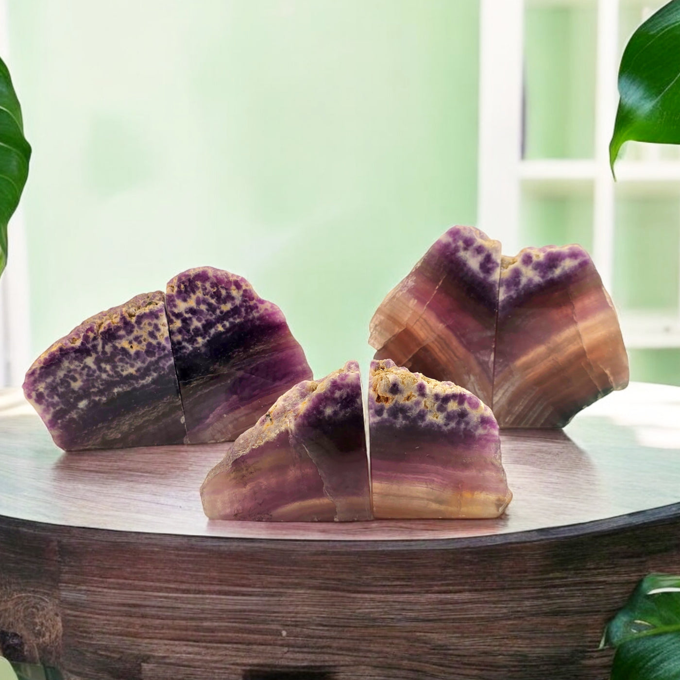 Fluorite Semi Polished Bookends - By Weight- all three weight variants on wooden table with green wall in the background and plants