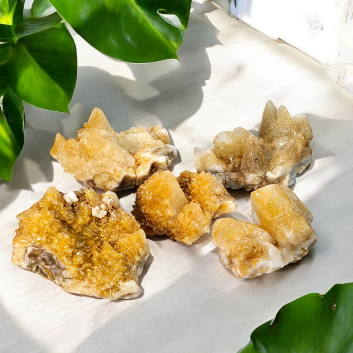 Dogtooth Calcite Crystal Clusters - You Choose #1 on wooden surface with plants in the background