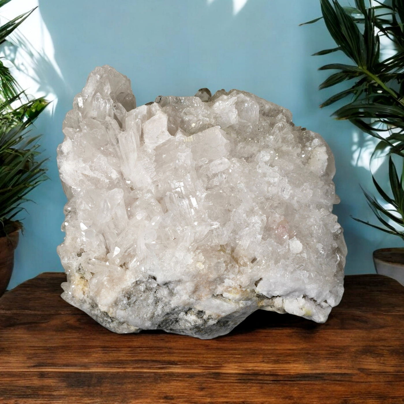 Giant Crystal Quartz Cluster #1 on wooden table with blue background and plants