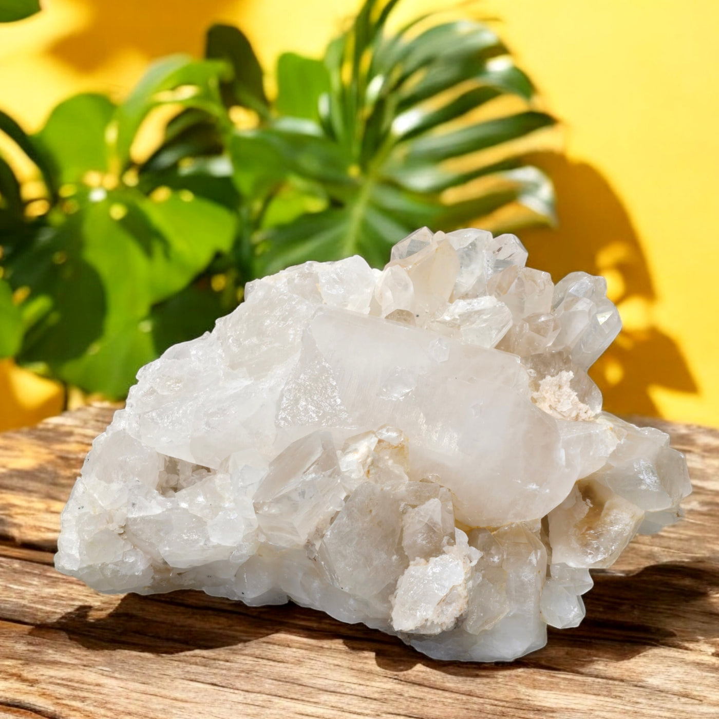 Giant Crystal Quartz Cluster #2 front view on wooden table with yellow background and plants