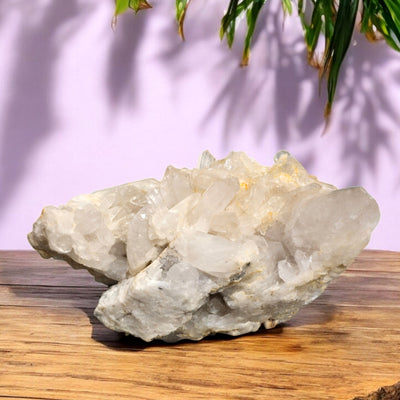 Giant Crystal Quartz Cluster #5 on wooden table with purple background and plant