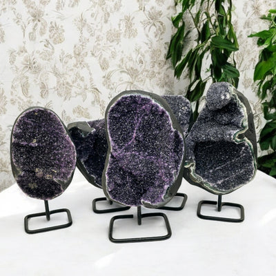 Black Amethyst Druzy Crystal Cluster on Metal Stand - You Choose all variants on white table with plants in the background