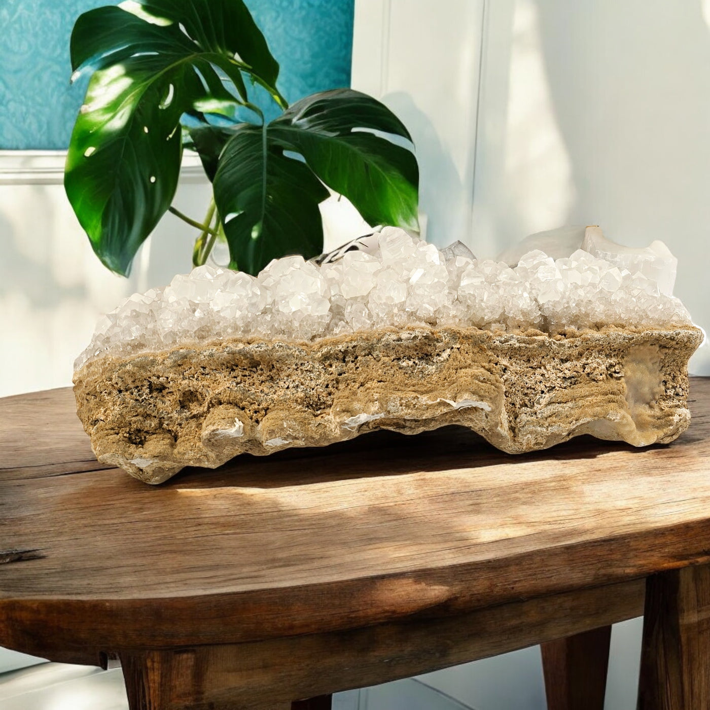 Calcite Crystal Cluster on Limestone - High Grade on wooden table with plant in the background