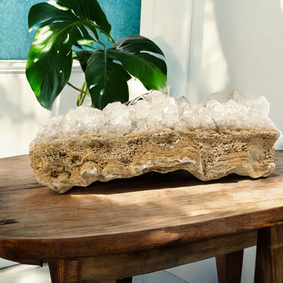 Calcite Crystal Cluster on Limestone - High Grade on wooden table with plant in the background