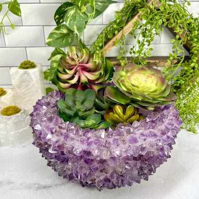 Amethyst Crystal Point Bowl - Handmade - Home Decor with succulents in bowl and props in background