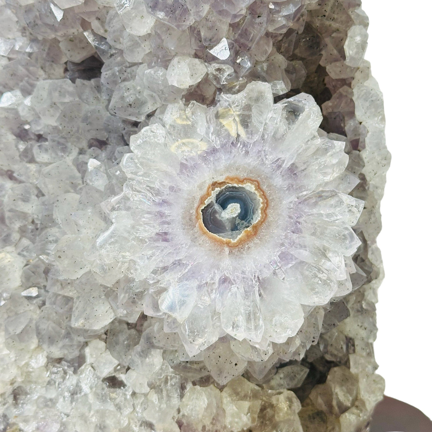 close up of the amethyst flower on this cluster 