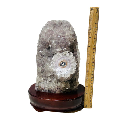 Amethyst Crystal Cluster on Wooden Base - Stalactite Flower - next to a ruler for size reference 